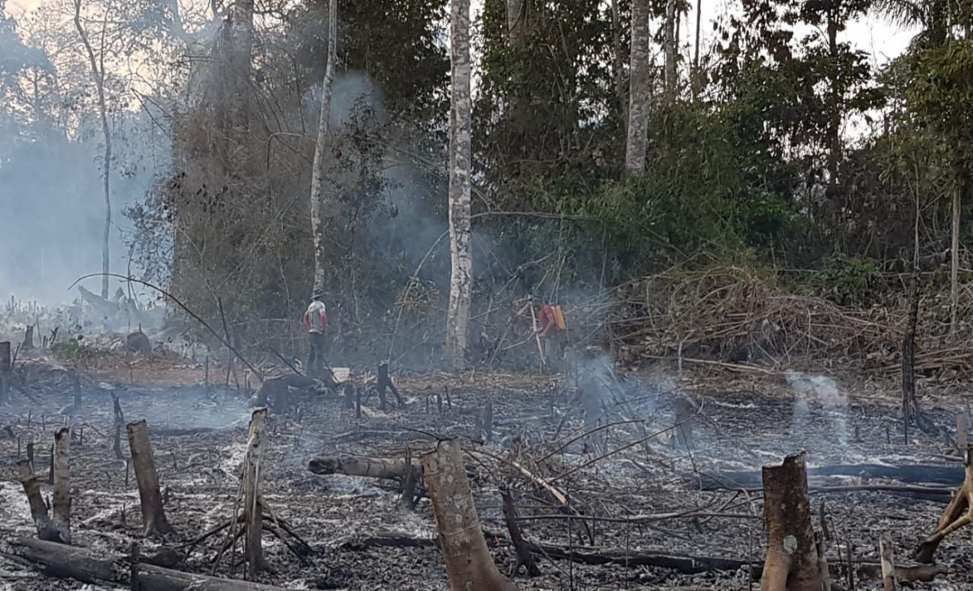 Fogo em área pertencente à Embrapa Acre já consumiu mais de 10 hectares